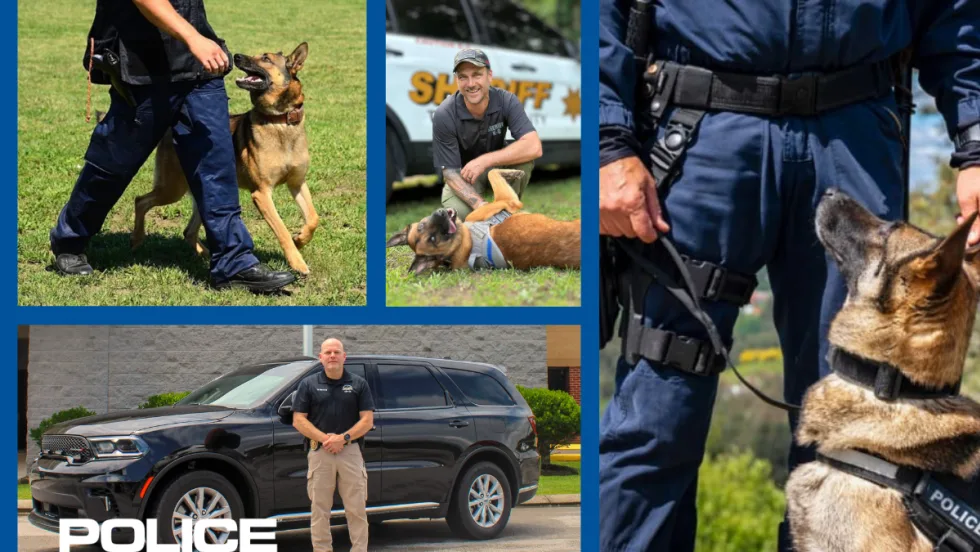 composit image of multiple police k-9 units training and a logo for POLICE.