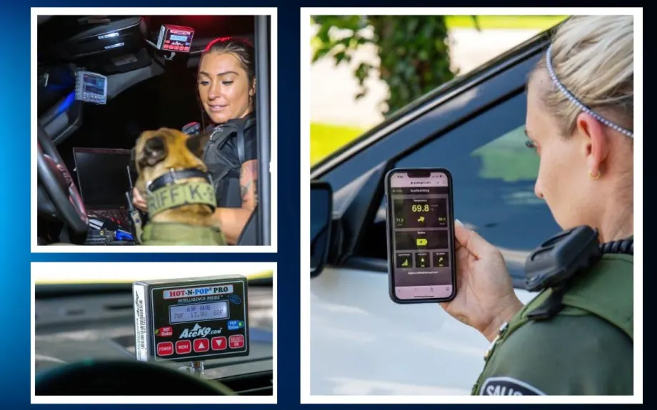 Tapping Into Tech to Save K-9 Lives