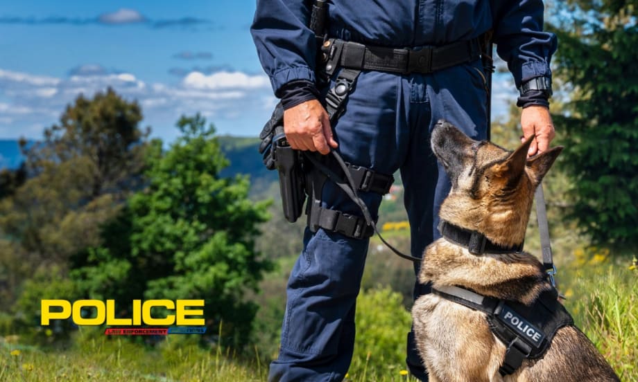 Top 7 Do's and Don'ts for Police K-9 Units