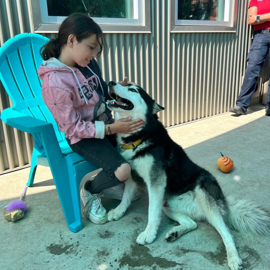 After Little Girl’s Puppy Intentionally Killed, CA Deputies Give Her a Rescue Dog