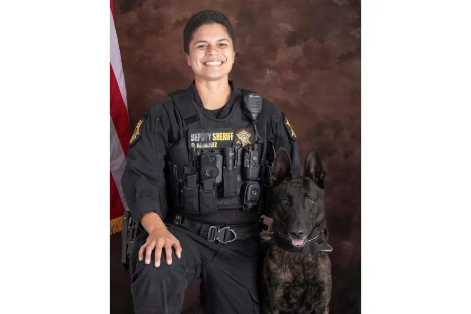 South Carolina Sheriff’s K-9 Dies After Suffering Pursuit Injuries