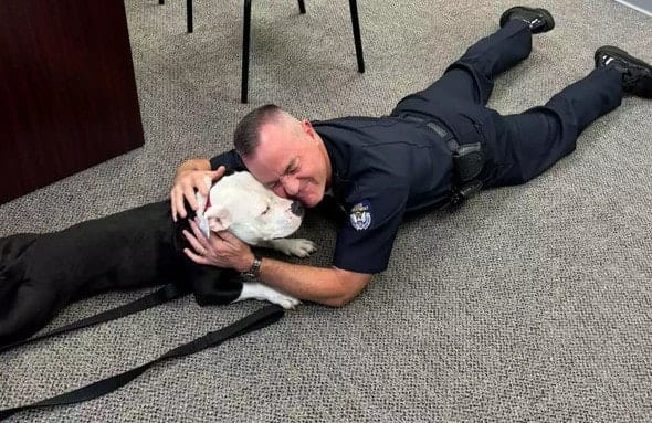 Kentucky Police Department Adopts Shelter Dog