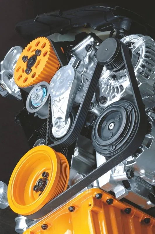 V-Ribbed Drive Belts
