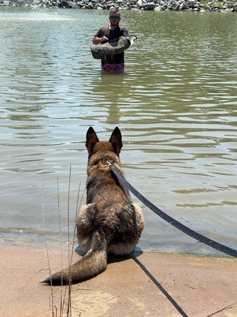 More Effective Exposure Training for K-9 Teams