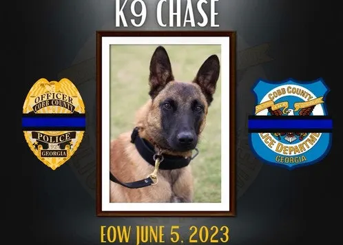 GA K-9 Dies in Hot Car After Air Conditioning Fails