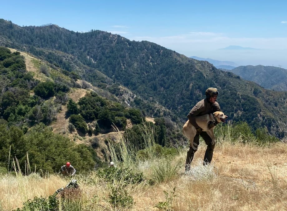 LA County Sheriff’s K-9 Airlifted After Overheating During Search