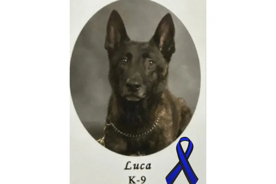 Mississippi K-9 Killed After Pursuit, Suspect Fatally Shot by Deputies