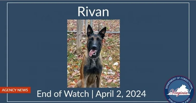 Virginia Corrections Dog Killed in Prison Attack