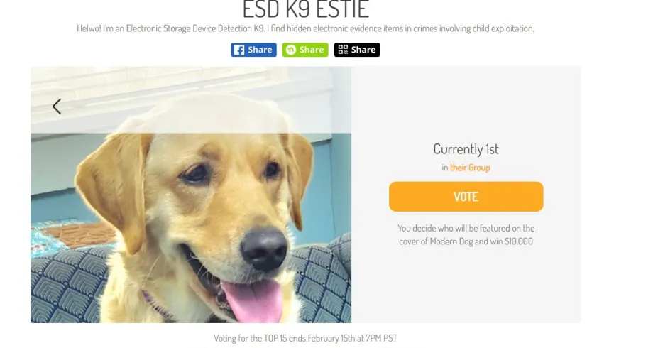 Alabama K-9 Sniffs Out SD Cards