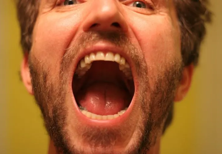 Of Bipeds, Fangs, and the Need for Dentu-Creme