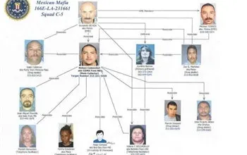 Mara Salvatrucha: A Transnational Gang