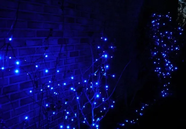 The Potential Hazards of Project Blue Light