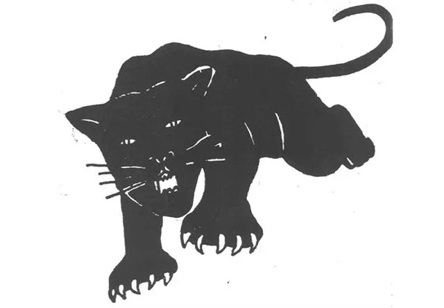 Inside the Black Panther Party (1 of 2)