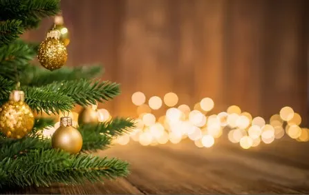 Naughty and Nice: Policing During the Winter Holidays