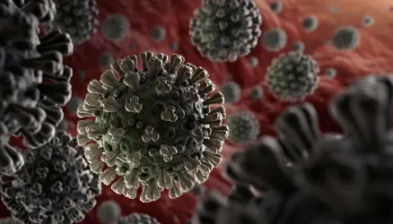 Coronavirus, Infectious Disease, and Officer Safety