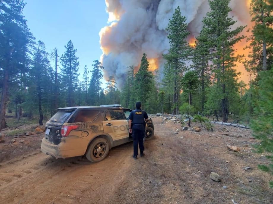 Heroism Amid Horror in the Human Response to California's Worst Wildfire