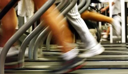 Making the Connection Between Physical and Emotional Wellness