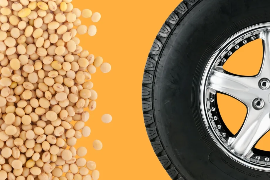 The Rise of the Soy-Based Tire